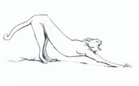stretch